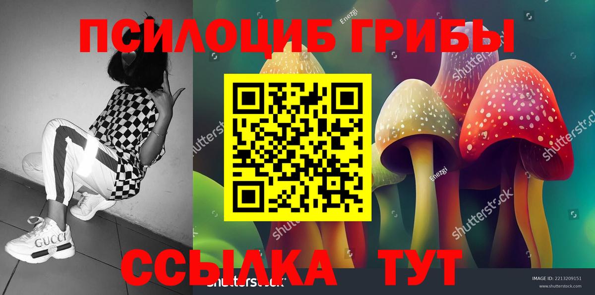 Галлюциногенные грибы Magic Shrooms  Вход с VPN  Галлюциногенные грибы Cubensis  Троицк 